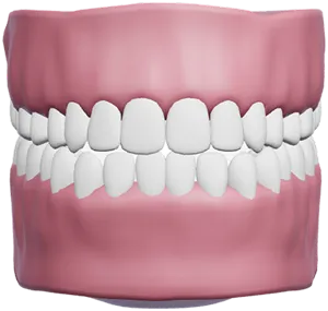 Préoccupations du sourire et dentaires